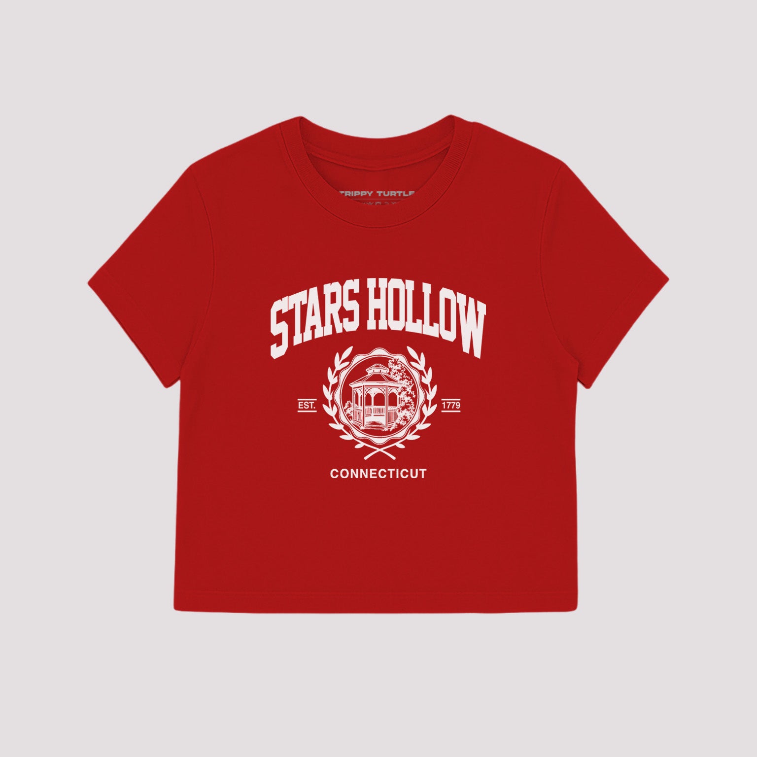 Stars Hollow Graphic Cropped Fitted T-shirt